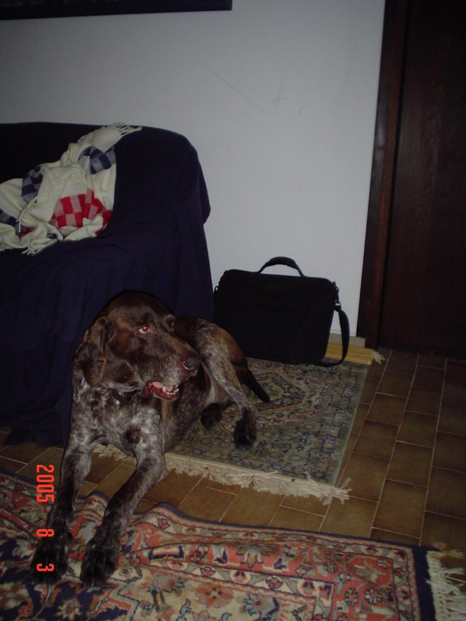 Dr. Igda Apartments Porec Luaran gambar