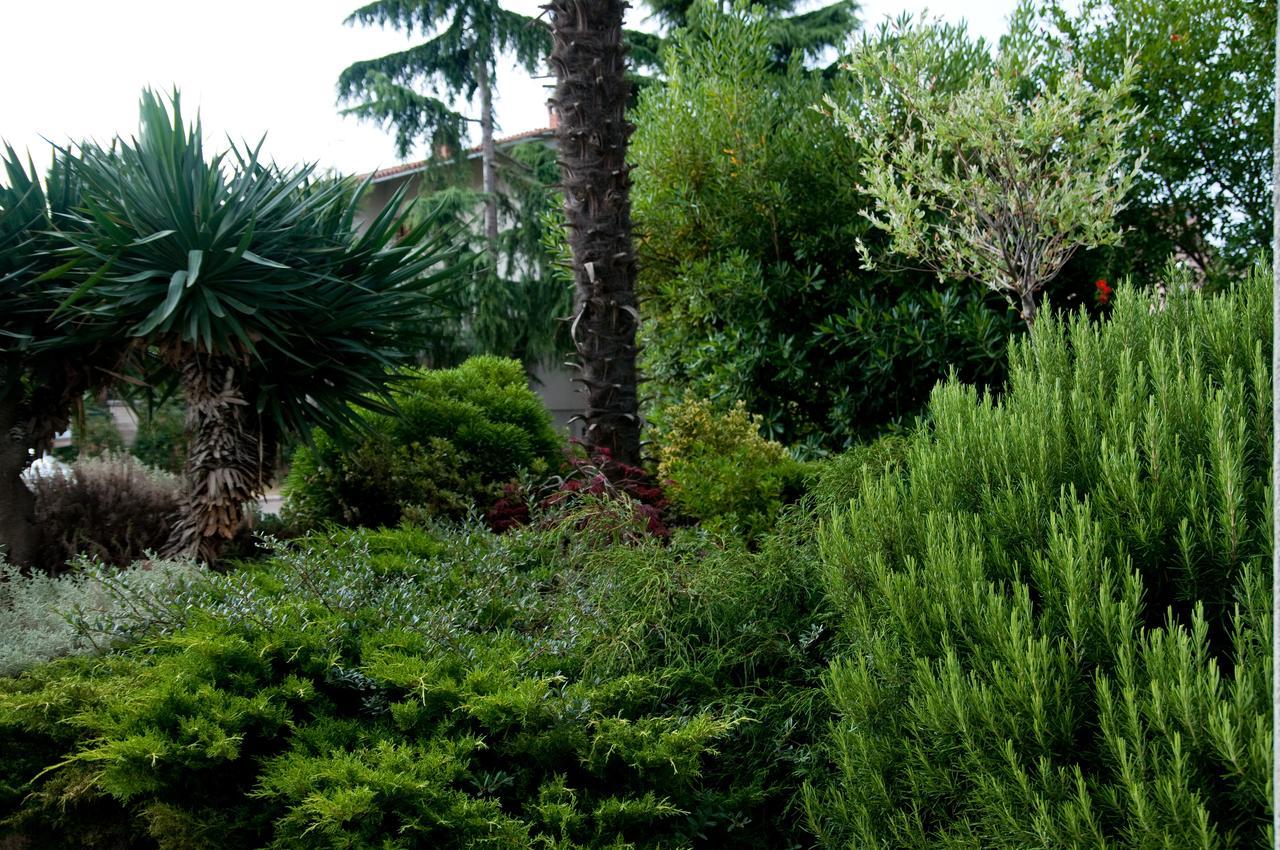Dr. Igda Apartments Porec Luaran gambar